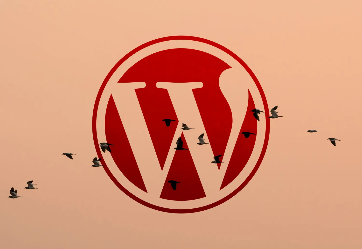 Migrate to WordPress